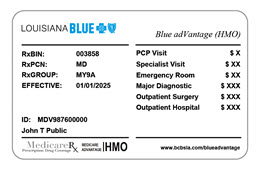 This is an example of a Blue Advantage ID card.